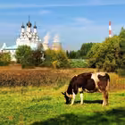 zamkadye_new Telegram Logo