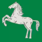 tomsk_novosti Telegram Logo