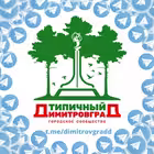 dimitrovgradd Telegram Logo