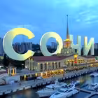 sochyu Telegram Logo