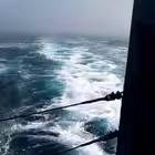 news_fleet Telegram Logo