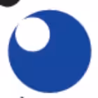 CNewsDaily Telegram Logo