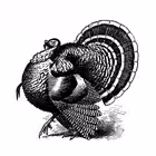 chvans Telegram Logo