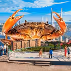 alevladivostok Telegram Logo