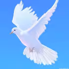 parents_13 Telegram Logo