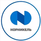 nornickel_official Telegram Logo