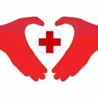 nosilki Telegram Logo