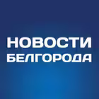 thenewsbelgorod Telegram Logo