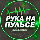 goodnovostibad Telegram Logo