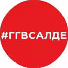 v_salde Telegram Logo