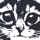 iznanka163 Telegram Logo