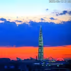 tut_piter Telegram Logo