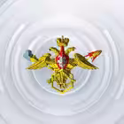 projectrhbz Telegram Logo