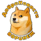 Telegram @vrndobroChannel Image