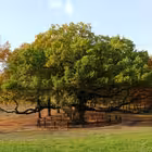 Telegram @belgorodtytChannel Image