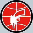 sovsekretnoru Telegram Logo