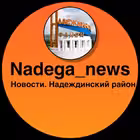 nadega_news Telegram Logo