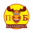 Balashiha_Podslushan Telegram Logo