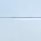 Telegram @bearnews_officialChannel Image