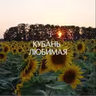 kuban23_love Telegram Logo