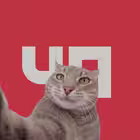 ArmavirCHP Telegram Logo