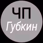 chpgubkin Telegram Logo
