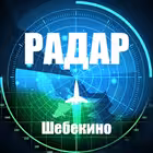 radar1431 Telegram Logo