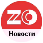 zeiskieogni Telegram Logo