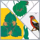 orexovoborisovo Telegram Logo