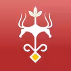 Telegram @maikop_admChannel Image