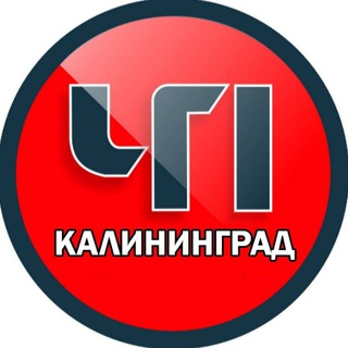 Telegram @kaliningrad_chpChannel Image