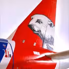 yamal_airlines Telegram Logo