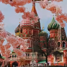 moscwper Telegram Logo