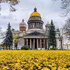 novosti_spbrf Telegram Logo