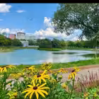 svao12sviblovo1 Telegram Logo