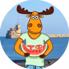 tf_feo Telegram Logo