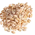 drob16 Telegram Logo