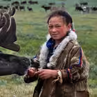 hantyma Telegram Logo