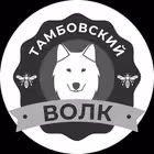 tebe_tovarish Telegram Logo