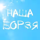 nashaborzya Telegram Logo