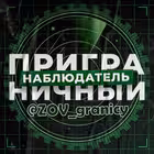 ZOV_granicy Telegram Logo