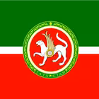 Telegram @tatarstanChannel Image