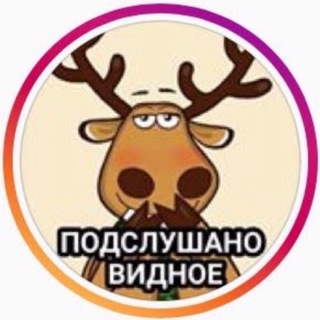 Telegram @novosti_vidnoeChannel Image