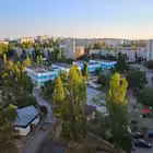 shelkino Telegram Logo