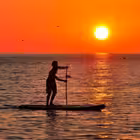 sochinow Telegram Logo