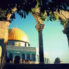 Telegram @mumenjmmeqdadChannel Image