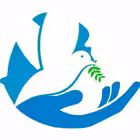 tikvahethmagazine Telegram Logo