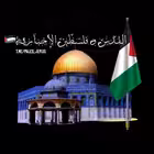 Telegram @pales_jerusChannel Image