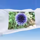 Telegram @AllesAusserMainstreamChannel Image