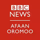 Telegram @BBC_Afaan_OromooChannel Image